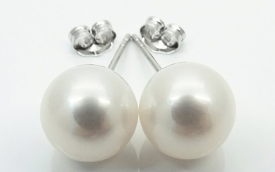 No Reserve Price - South Sea Pearls, Round 9,5 -10 mm - 14 kt. White gold - Earrings