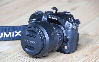 Panasonic LUMIX DMC-GH3 + 14-140mm (GH3 Mirrorless)
