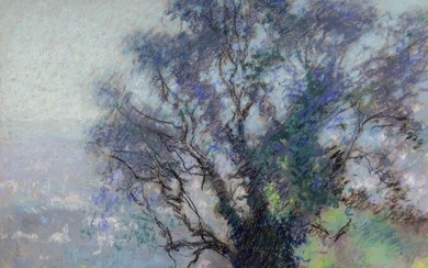 Raymond Thibesart (1874-1968) - Lumière à travers l'arbre