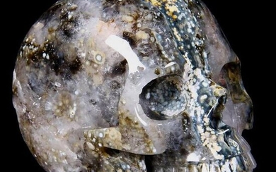 Top Quality Ocean Jasper Carve Realistic Skull - 131×99×87 mm - 1450 g