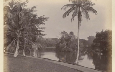 Unknown Photographer - 1890 - Botanical Garden, Singapore, 1890 s - Strong Vintage Photograph