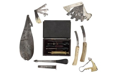 A Miscellaneous Collection of Veterinary Instruments