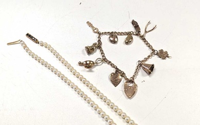 A charm bracelet, tested as 18ct gold with a mixture of charms stamped '9CT and '18CT', gross weight
