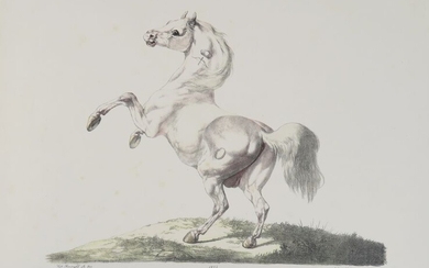 GEBAUER (Christian David). Det Kongelige danske Stutteri. Kopenhagen, Königl Kunstakademie, 1822(-1827). Grand in-folio oblong (57...