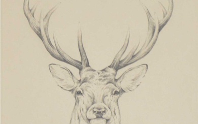 Geoffrey Dashwood Study for Royal Stag, pencil, and a print