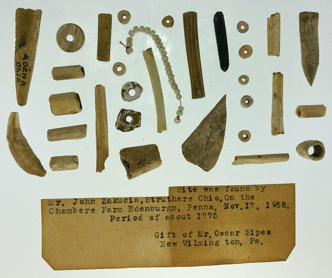Group of 30 Shell and Animal Bone artifacts found by