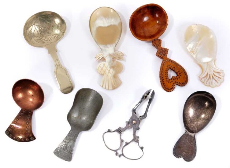 Interesting collection of caddy spoons together with a set of 19th century plated sugar scissors