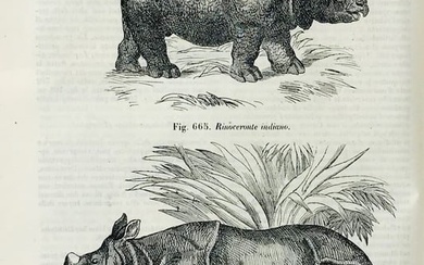Natural History. Storia naturale illustrata del regno animale.