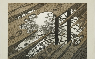 Puddle (Bool/Kist/Locher/Weirda 378), M. C. Escher