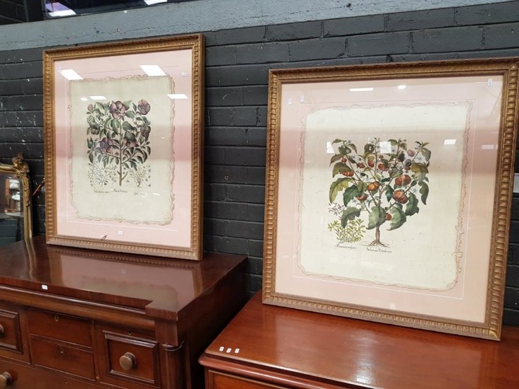 Set of (3) Florentine Style Hand-Coloured Botanical Engravings, mounted floating in gilt frames 99 x 90.5cm.
