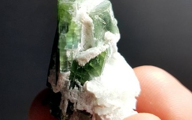 18 Grams Amazing Green Tourmaline Crystal Specimen From