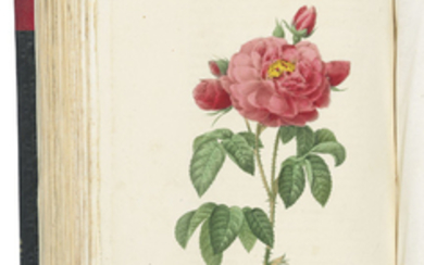 REDOUTÉ, Pierre-Joseph (1759-1840) and Claude-Antoine THORY (1759-1827). Les Roses peintes par P.J. Redouté... décrites par C.A. Thorry [sic]. Paris: C.L.F. Panckoucke, 1824[-1826].
