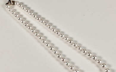 8,5 mm - 14 kt. Akoya pearls - Necklace