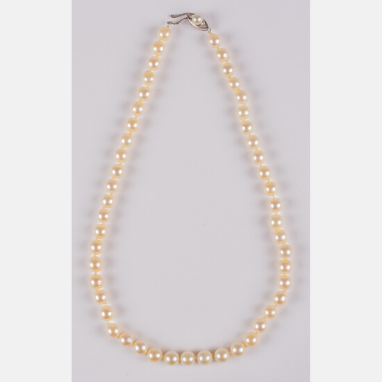 A Single Strand Cultured Pearl Necklace