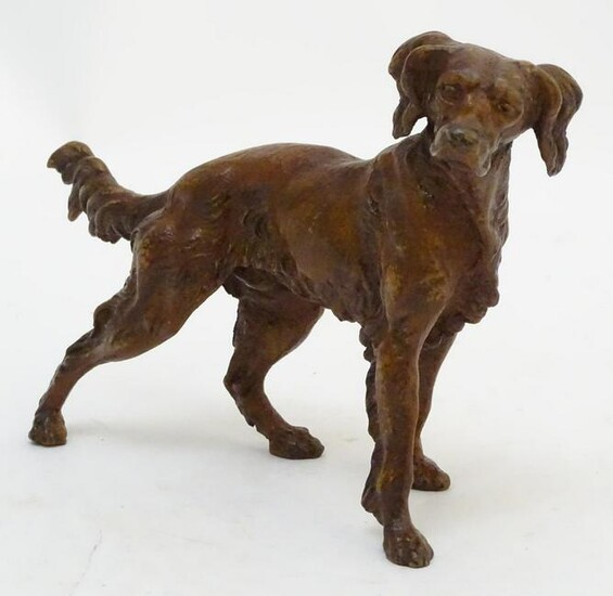 A cold painted bronze model of a gun dog. Approx. 7"