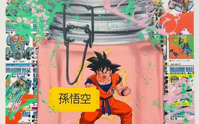 AIIROH (1987) - "Preserve Son Goku"