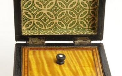 British Regency Tiger Maple Single Compartment Tea Caddy, 19th Century