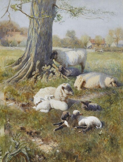 British School, late 19th/early 20th century- Sheep and lambs resting under a tree with cottages beyond; watercolour heightened with white on paper, 35.5 x 27 cm.