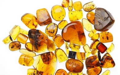 Burmese Amber Cabochons - all with Inclusions