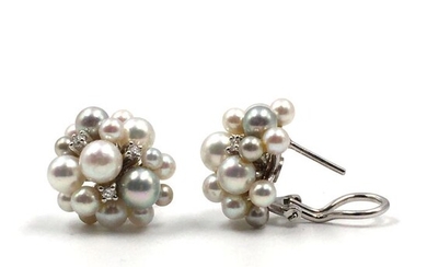 Cluster Ohrschmuck - 18 kt. White gold - Earrings - 0.12 ct Pearls - Diamonds