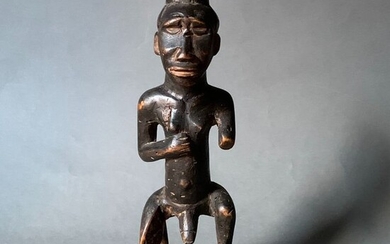 Figure (1) - Hardwood - Bakongo - DR Congo