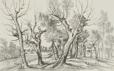 G. CANELLA (1788-1847), River landscape with trees, around 1810, Pencil
