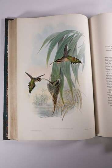 GOULD (John). A monograph of the trochilidae or Family of humming birds. London, published by...