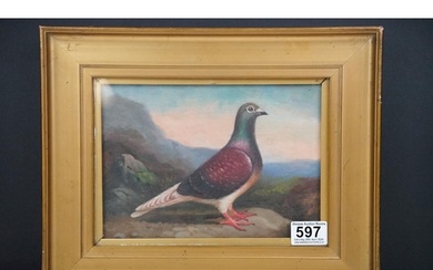Gilt framed oil painting study of a pigeon on a ledge in a h...