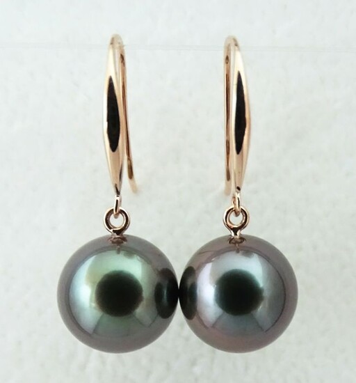 HS Jewellery - Tahitian Pearls, Rikitea Pearls, Dark Aubergine Peacock, Round, 9.33, 9.34 mm - 18 kt. Pink gold - Earrings - No Reserve Price