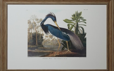 John James Audubon (1785-1831), "Louisiana Heron," No.