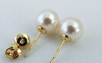 NO RESERVE PRICE - Akoya pearls, Premium 8,5 -9 mm - Earrings, 18 kt. Yellow Gold