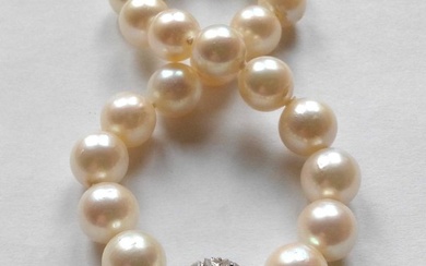 No Reserve Price - Bracelet 14 kt white gold - Akoya pearls up to 8 mm - diamonds