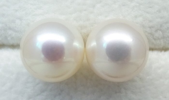 No Reserve Price - South Sea Pearls, Round 9,5 -10 mm - 14 kt. White gold - Earrings