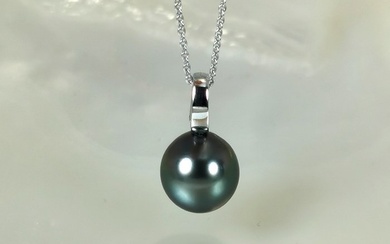 No Reserve Price - Tahitian Peacock DR Ø 11 x 12 mm - 14 kt. Silver, Tahitian pearl, White gold - Necklace with pendant