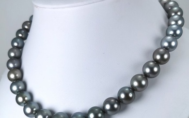 Tahitian pearls necklace RD Ø 11 x 14 mm - Necklace Silver Pearl