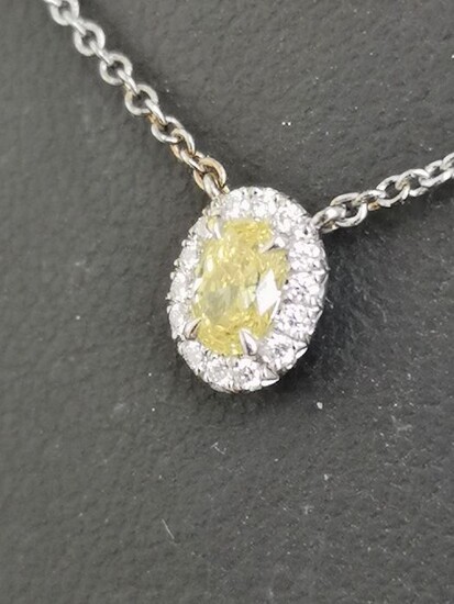 Tiffany - 950 Platinum, White gold - Necklace with pendant - 0.30 ct Diamond - Diamonds
