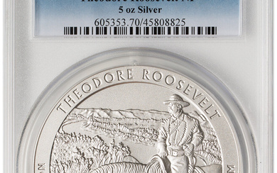 2016-P 25C Theodore Roosevelt NP 5 oz Silver, SP