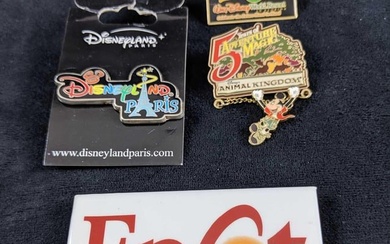 Disney Theme Park Exclusive Pins