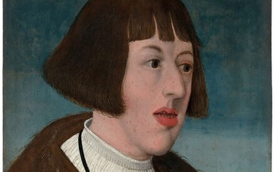 Ecole allemande de la première partie du XVIe siècle Portrait de l'archiduc Ferdinand de Habsbourg à l'âge de 17 ans