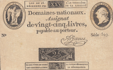 France 25 Livres 1791