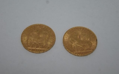 Lot of 2 pieces 20 frs gold cockerel 1906 and 1907 . Weight 12,90 g.BE