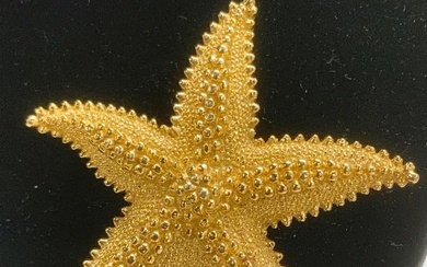 MONET Good Tone Starfish Brooch