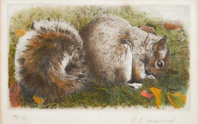 Quantity of Etchings and Prints of animals
