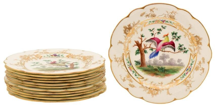 Set of 12 Hammersley & Co. Porcelain Plates with Birds