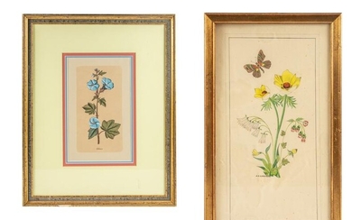 Set of Vintage Lithograph of Plants