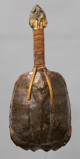 Snapping Turtle Shell Rattle