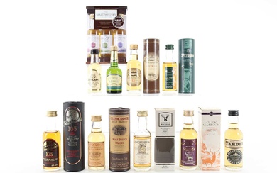 12 ASSORTED WHISKY MINIATURES INCLUDING COLEBURN 1972 GORDON & MACPHAIL CONNOISSEURS CHOICE