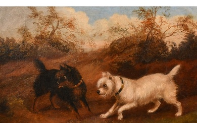 19th Century English School, terriers waiting by burrows, oi...