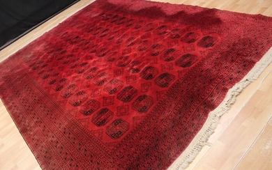 Afghan Buchara - Carpet - 350 cm - 255 cm