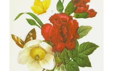 After Pierre-Jospeh Redoute, Floral Print, #35 Clove, Carnation, Christmas Rose